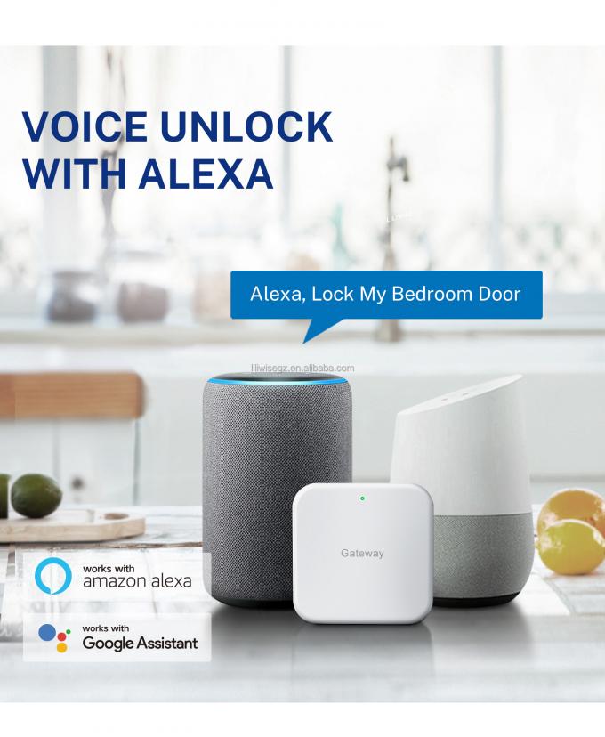 Έ&xi;&upsilon;&pi;&nu;&eta; &kappa;&lambda;&epsilon;&iota;&delta;&alpha;&rho;&iota;ά &pi;ό&rho;&tau;&alpha;&sigmaf; Tuya WiFi BLE &mu;&epsilon; &delta;&alpha;&kappa;&tau;&upsilon;&lambda;&iota;&kappa;ό &alpha;&pi;&omicron;&tau;ύ&pi;&omega;&mu;&alpha; &kappa;&alpha;&iota; &pi;&lambda;&eta;&kappa;&tau;&rho;&omicron;&lambda;ό&gamma;&iota;&omicron; 4