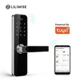 Passcode δακτυλικών αποτυπωμάτων Tuya κατοικιών κλειδαριών πορτών Airbnb ηλεκτρονική έξυπνη κλειδαριά πορτών Wifi καρτών