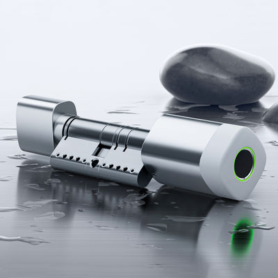 Έξυπνη κλειδαριά κυλίνδρου Liliwise με δακτυλικό αποτύπωμα, RFID κάρτα, αδιάβροχη, ρυθμιζόμενη, WiFi, BLE, Tuya, Ttlock, για αντικατάσταση παλαιών μηχανικών