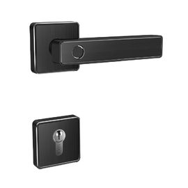Wifi Bluetooth δακτυλικών αποτυπωμάτων λαβών πορτών κλειδαριών έξυπνη πόρτα κυλίνδρων συναγερμών ψηφιακή